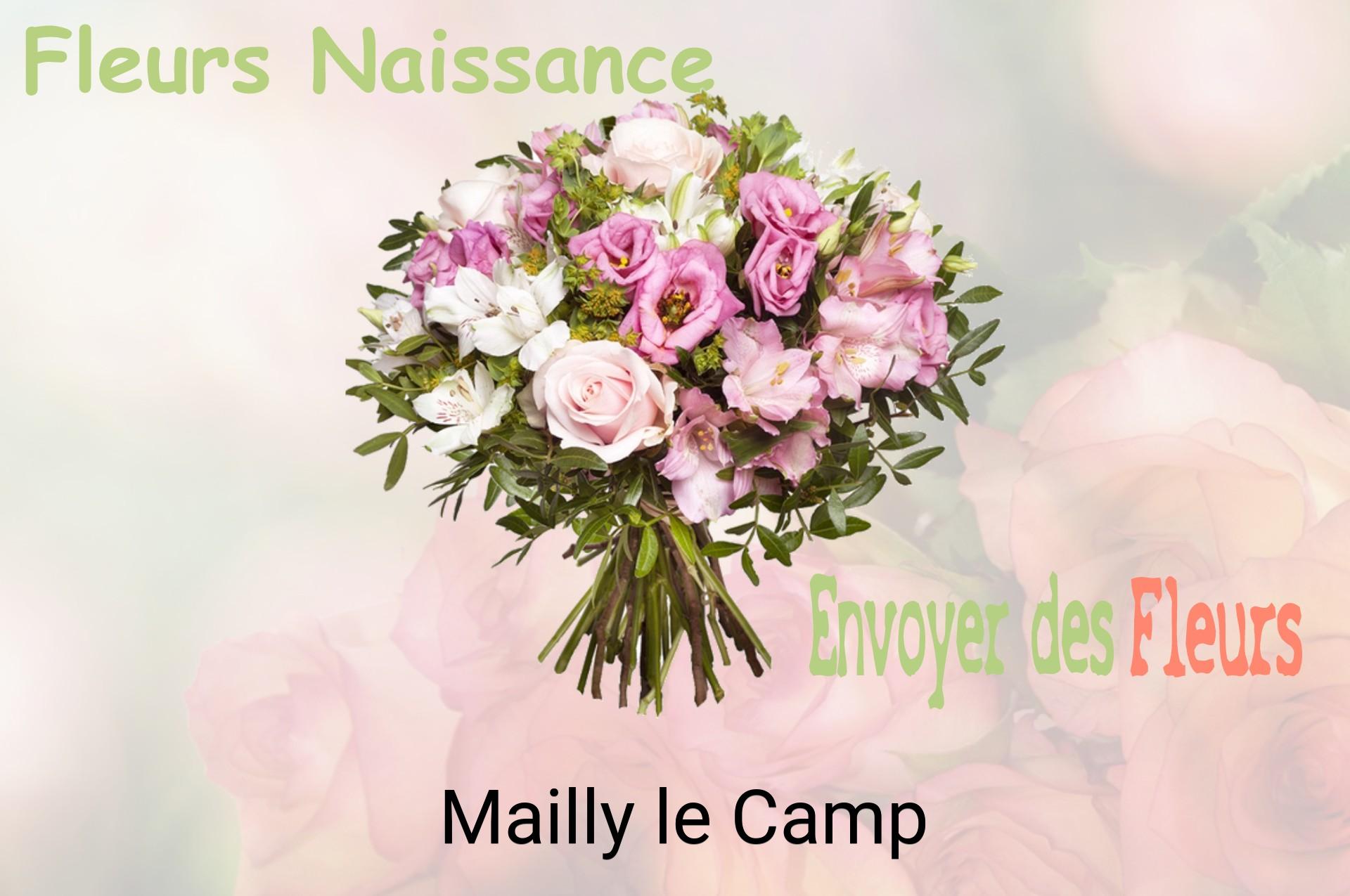 Bouquet de fleurs de naissance livré à Mailly-le-Camp